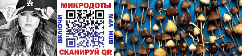 Купить где  Макаров  Галлюциногенные грибы прущие грибы 