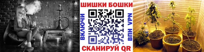 Каннабис планчик  Купить  Макаров 